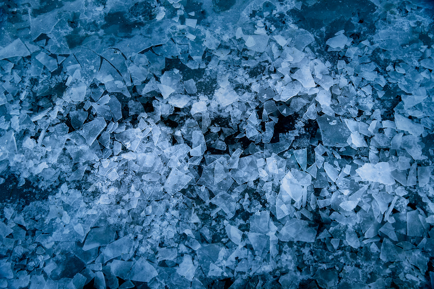A dense surface of shattered ice fills the entire frame, composed of countless jagged fragments layered over one another. The pieces vary in size and shape—sharp triangles, thin slivers, and cloudy chunks—some translucent, others frosted or opaque. Tones of deep blue and icy white dominate, with darker gaps between the shards hinting at depth beneath the surface. The texture feels rough and brittle, as if the ice has recently fractured and frozen in place.

The image carries a stark, almost raw emotional tone. It evokes a sense of coldness and fragmentation, like something once whole that has been broken apart. There’s a quiet intensity to it—still, yet charged with tension—suggesting both destruction and transformation. At the same time, the intricate patterns and crystalline details give it a fragile beauty, creating a feeling that is both harsh and mesmerizing, like finding elegance in something fractured.