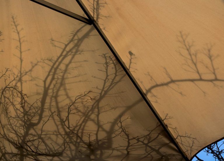 A canopy of floating umbrellas blooms overhead, spilling color into the air like suspended joy. Light filters through their vivid hues, painting the ground with shifting mosaics. Beneath this playful sky, the ordinary street transforms into a dream—where movement slows, smiles rise, and the world feels briefly, beautifully weightless.