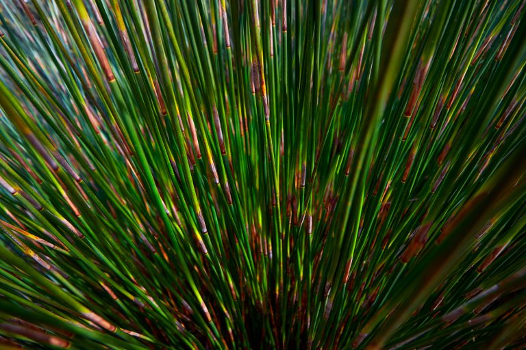 Lines and forces converge in a quiet meeting of motion and stillness, where paths cross like lives briefly touching. The image holds a subtle tension—an invisible dialogue between directions—suggesting growth, connection, and the delicate moment where separation dissolves into unity, and something new begins to quietly, inevitably emerge.