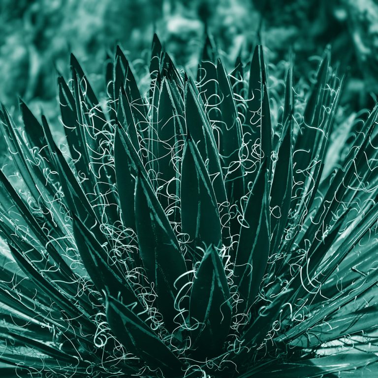 Soft forms hover in a quiet field of light and shadow, where edges dissolve and meaning lingers just beyond clarity. The image invites attention to the unseen—the subtle tension and harmony that live between shapes—revealing a gentle, contemplative space where perception slows and the in-between becomes quietly, deeply alive.