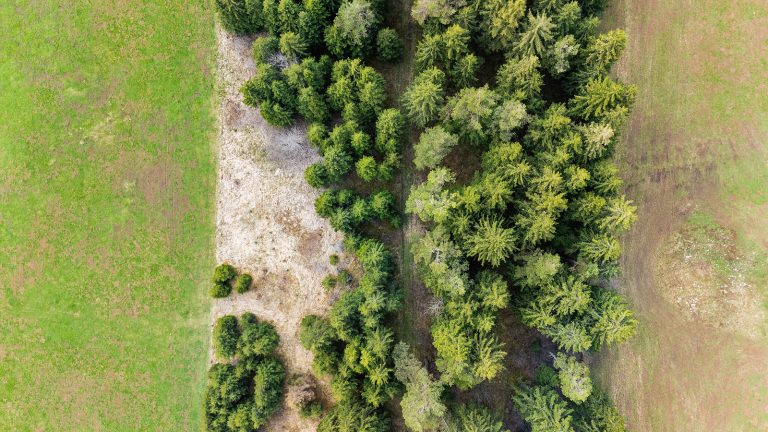 Vernunft alleine fliegt nicht