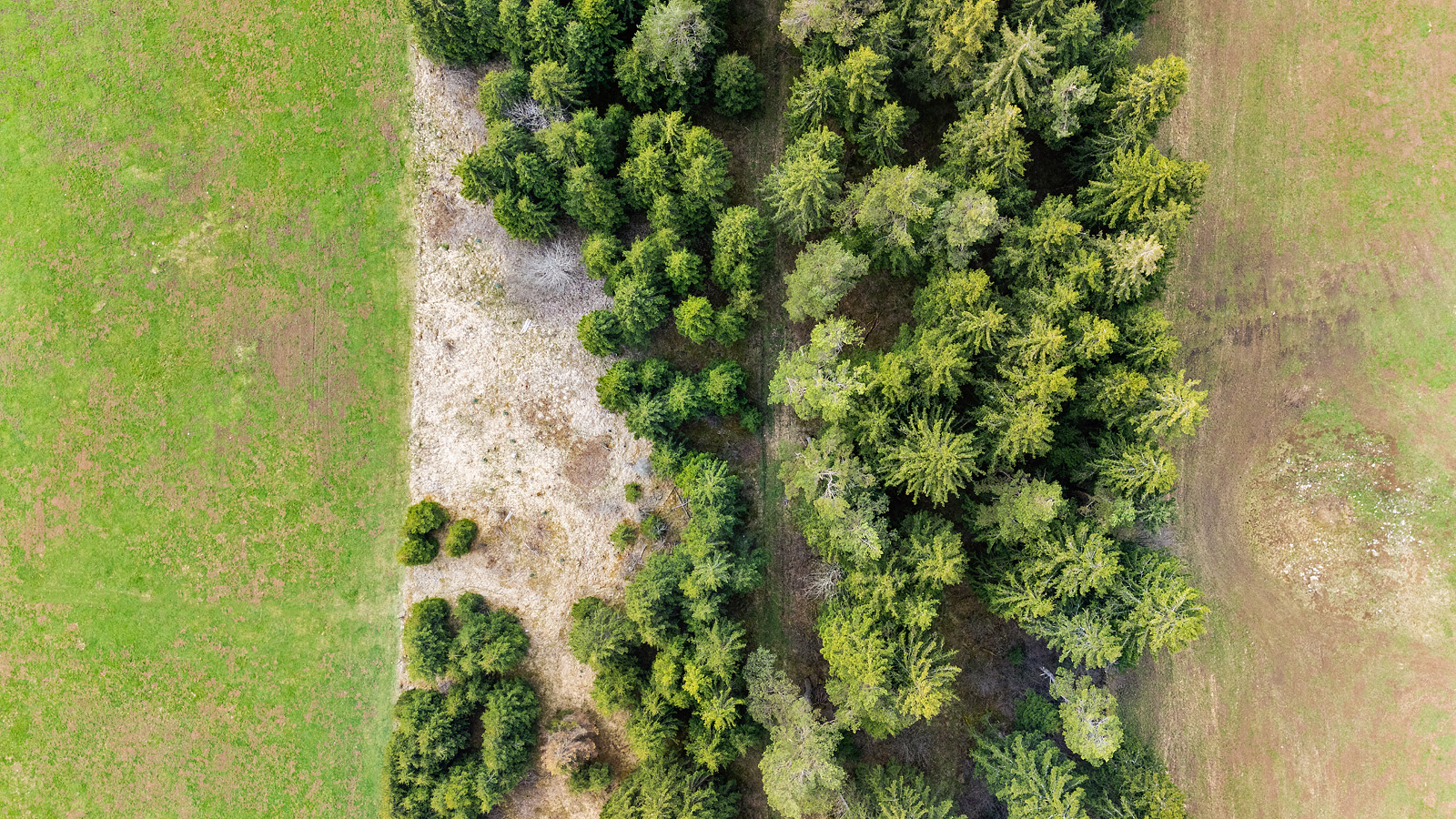 Vernunft alleine fliegt nicht