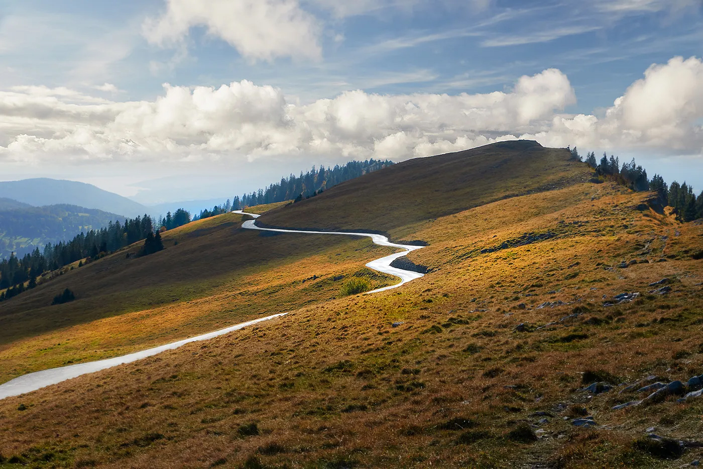 DE:
Ein schmaler, heller Weg schlängelt sich wie eine Silberschlange über einen weiten Hügelzug in warmen Herbstfarben. Licht und Schatten wechseln sich ab, der Weg verliert sich sanft im Horizont. Stille, Weite, eine ruhige Vorwärtsbewegung ohne sichtbares Ziel.
EN:
A narrow bright path winds like a silver snake across a wide hillside in warm autumn colours. Light and shadow alternate, the path dissolves gently into the horizon. Stillness, vastness, a quiet forward movement without visible destination.
