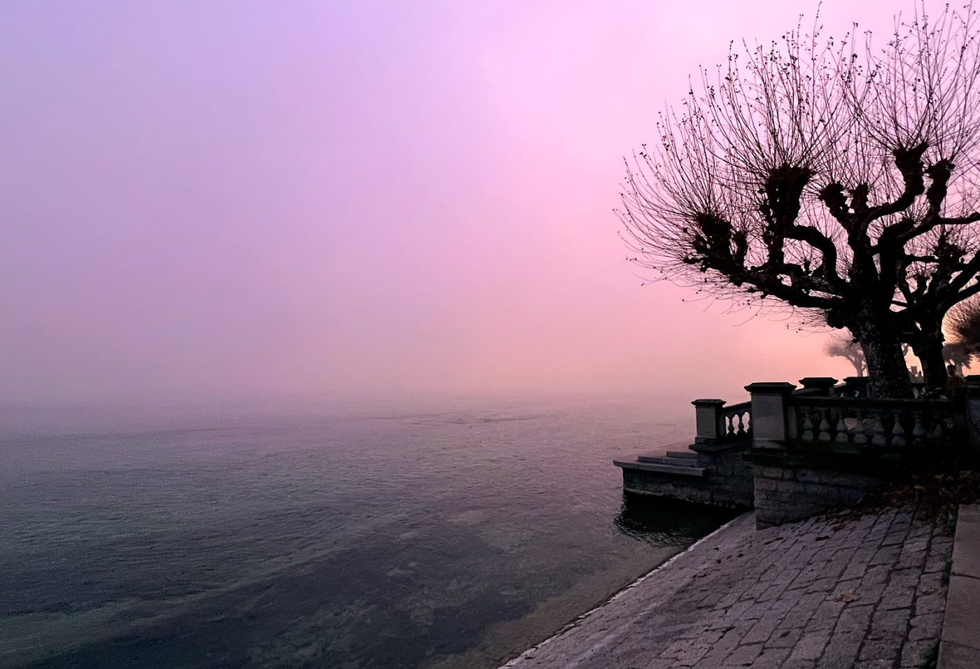 A winter fog swallows the far shore of Lake Constance at dusk. A stone balustrade and bare, pollarded trees emerge from the mist in silhouette. The sky glows in muted shades of pink and amber, the water and horizon dissolved into one another. Everything is still.