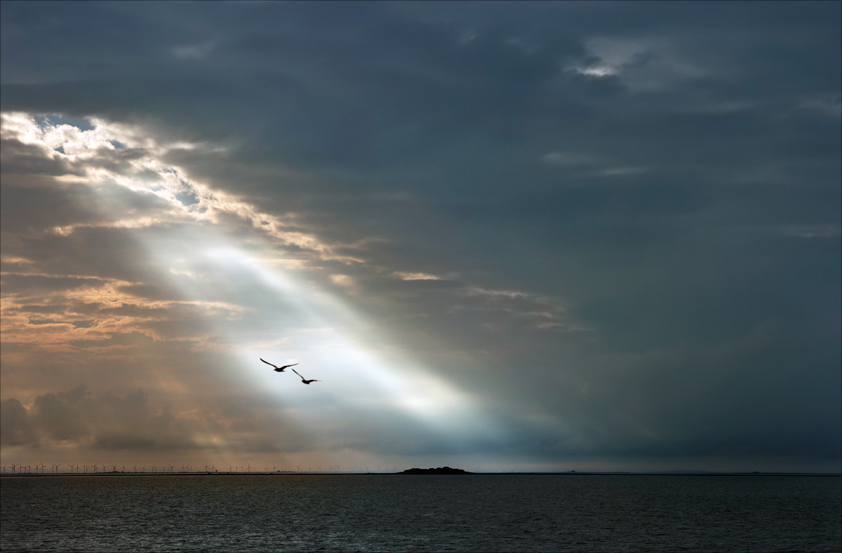 Zwei Vögel fliegen eng nebeneinander über einer felsigen Küste im warmen Abendlicht. Unter ihnen liegen Meer, Klippen und Sandbänke, während ihre Bewegungen wie ein gemeinsamer Tanz wirken.
Zwei Wesen tragen einander durch die Lüfte, noch ahnungslos vor dem kommenden Verlust.
Two birds fly closely beside one another above a rugged coastline in warm evening light. Beneath them lie cliffs, sandbars, and the sea as their movements resemble a shared dance.
Two souls carry one another through the sky, unaware how near loss already is.